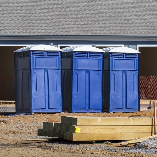 do you offer wheelchair accessible porta potties for rent in Worthville